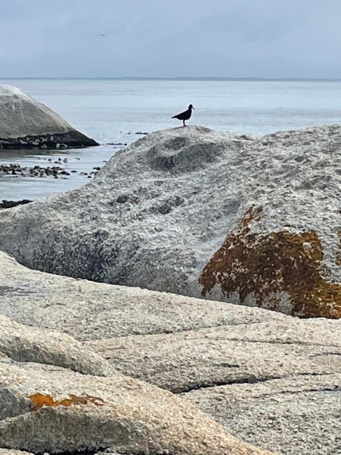 Appartamento Whale Rock Città del Capo Esterno foto