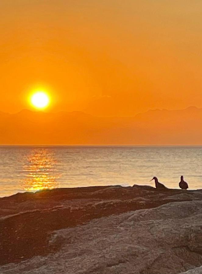 Appartamento Whale Rock Città del Capo Esterno foto